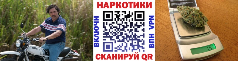 Виды наркотиков купить Новосиль COCAIN  Метадон  NBOMe  Мефедрон  kraken онион  Бошки Шишки 
