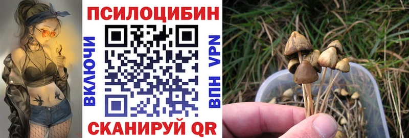 сайты даркнета наркотические препараты  Новосиль  Галлюциногенные грибы Cubensis 